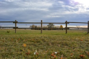 View from our room in Picture Butte.